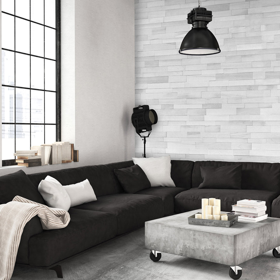 Evolution Collection