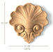 Shell with Scrolls, 3 1/8"w x 3 1/4"h x 1/2"d, SPECIAL ORDER Carved Onlays White River Hardwoods   