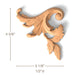 Acanthus Scrolls, Left & Right Pair, 3 1/8"w x 4 5/8"h x 1/2"d Carved Onlays White River Hardwoods   