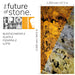 Translucent Falling Leaves, Natural Slate Veneer - 47 1/4" W x 94 1/2" L - Sold By Panel Stone Veneer White River Hardwoods