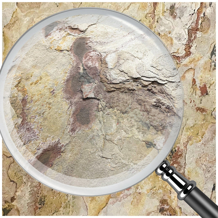 Translucent Falling Leaves, Natural Slate Veneer - 47 1/4" W x 94 1/2" L - Sold By Panel Stone Veneer White River Hardwoods