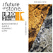 Translucent Rustique, Natural Slate Veneer - 24" W x 48" L - Sold By Panel Stone Veneer White River Hardwoods