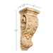 Small Acanthus Corbel, 5''w x 12''h x 4 1/2''d Carved Corbels White River Hardwoods   