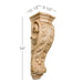 X-Large Acanthus Corbel, 9 1/2"w x 34"h x 10 1/2"d Carved Corbels White River Hardwoods   