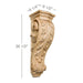 Large Acanthus Corbel, 8 1/2"w x 26"h x 8 1/4"d Carved Corbels White River Hardwoods   