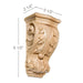 Small Acanthus Corbel, 3 1/2"w x 6 1/2"h x 2 1/2"d Carved Corbels White River Hardwoods   