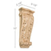Large Acanthus Corbel, 6 1/2"w x 15"h x 2 1/2"d Carved Corbels White River Hardwoods   