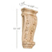 Small Acanthus Corbel, 4 5/8"w x 10 1/4"h x 1 3/4"d Carved Corbels White River Hardwoods   
