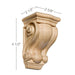 Small Traditional Corbel, 2 5/8"w x 4 1/2"h x 2 1/2"d Carved Corbels White River Hardwoods   